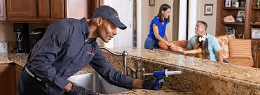 Best Pest Prevention Services  in Mammoth Spring, AR