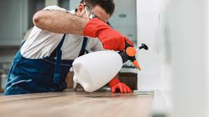 Best Commercial Pest Control  in Mammoth Spring, AR